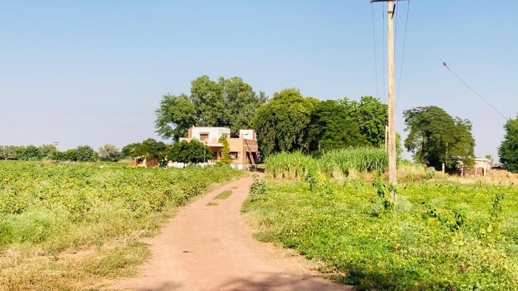 Ananya Farms Paradise Jodhpur  Luaran gambar