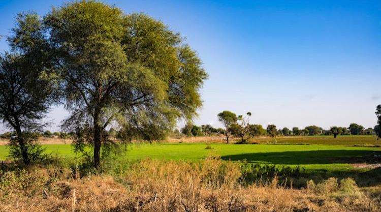 Ananya Farms Paradise Jodhpur  Luaran gambar