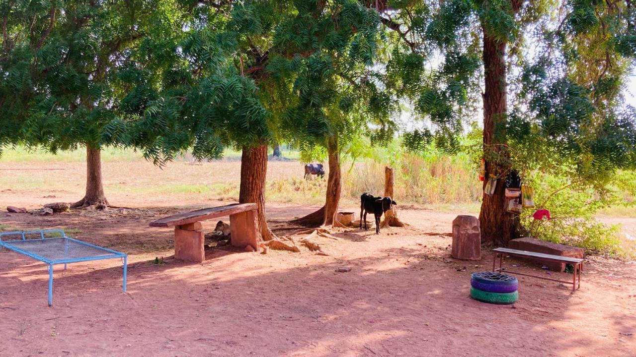 Ananya Farms Paradise Jodhpur  Luaran gambar